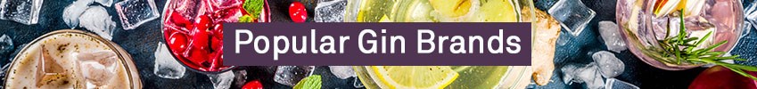 Popular Gin Brands