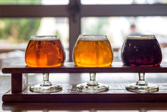 Microbrewery Ales of Different Colours in Small Tasting Glasses