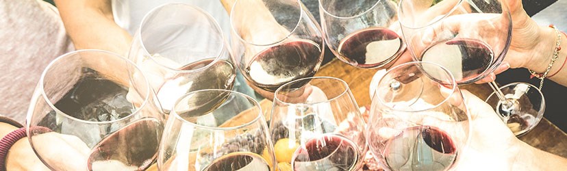 Summer Red Wines