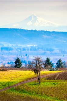 Oregon