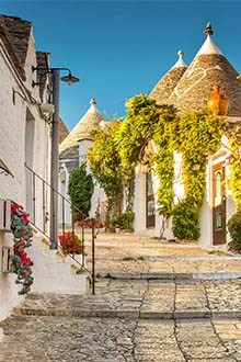 Wine from Puglia
