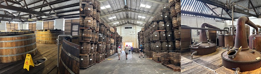 Mount Gay Distillery