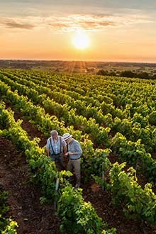 Naked Wines Voucher