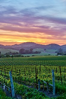 Wine52 Explores the World