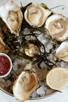 Bentley's Oysters