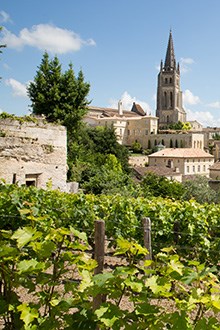 Bordeaux Vineyards
