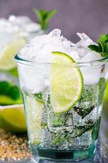 low alcohol gin and tonic