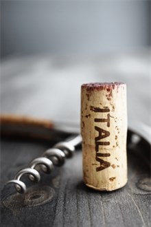 Italian Wine Cork next to Corkscrew on wooden table