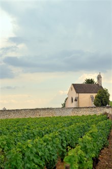 Chablis Vineyard Farmhouse